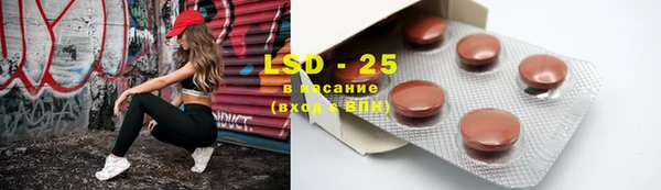 ешки Алзамай
