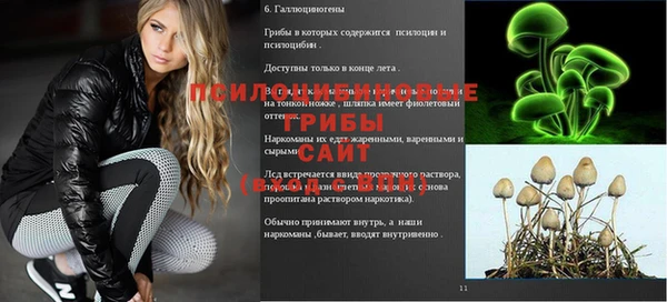 гашик Армянск