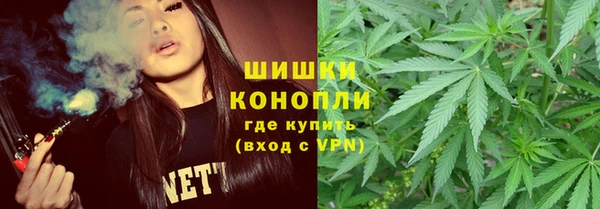 дурь Арсеньев